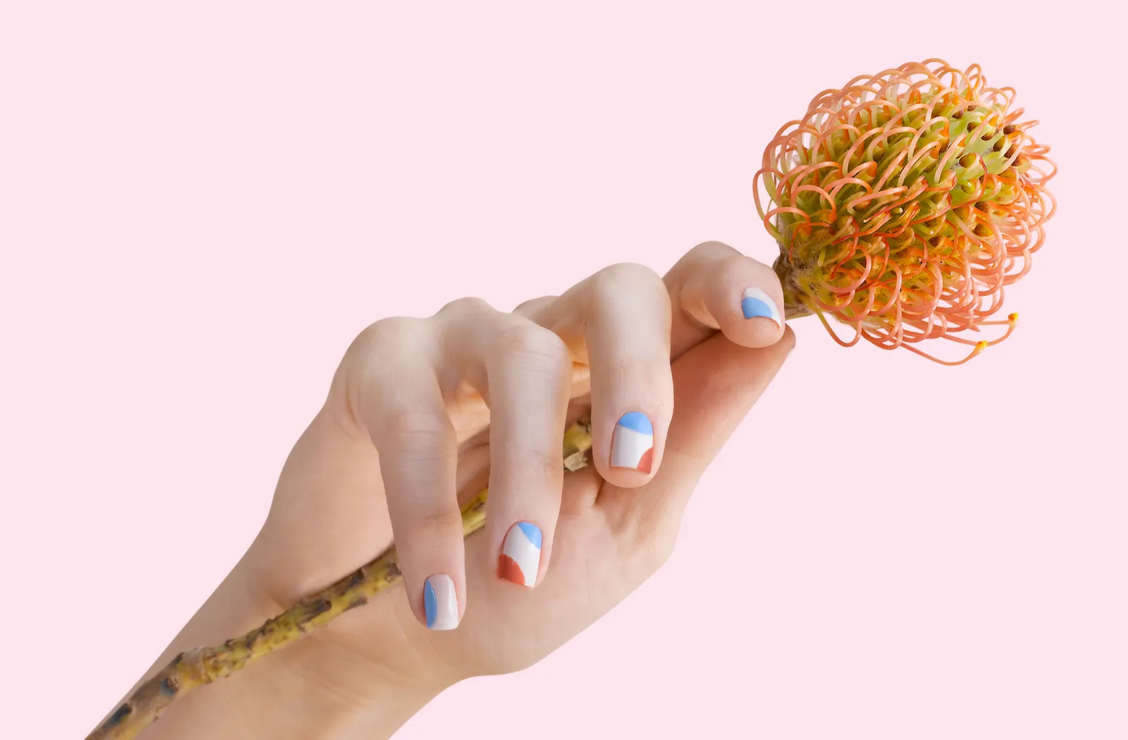 Hand mit rosa Nägeln und Blütenpinsel