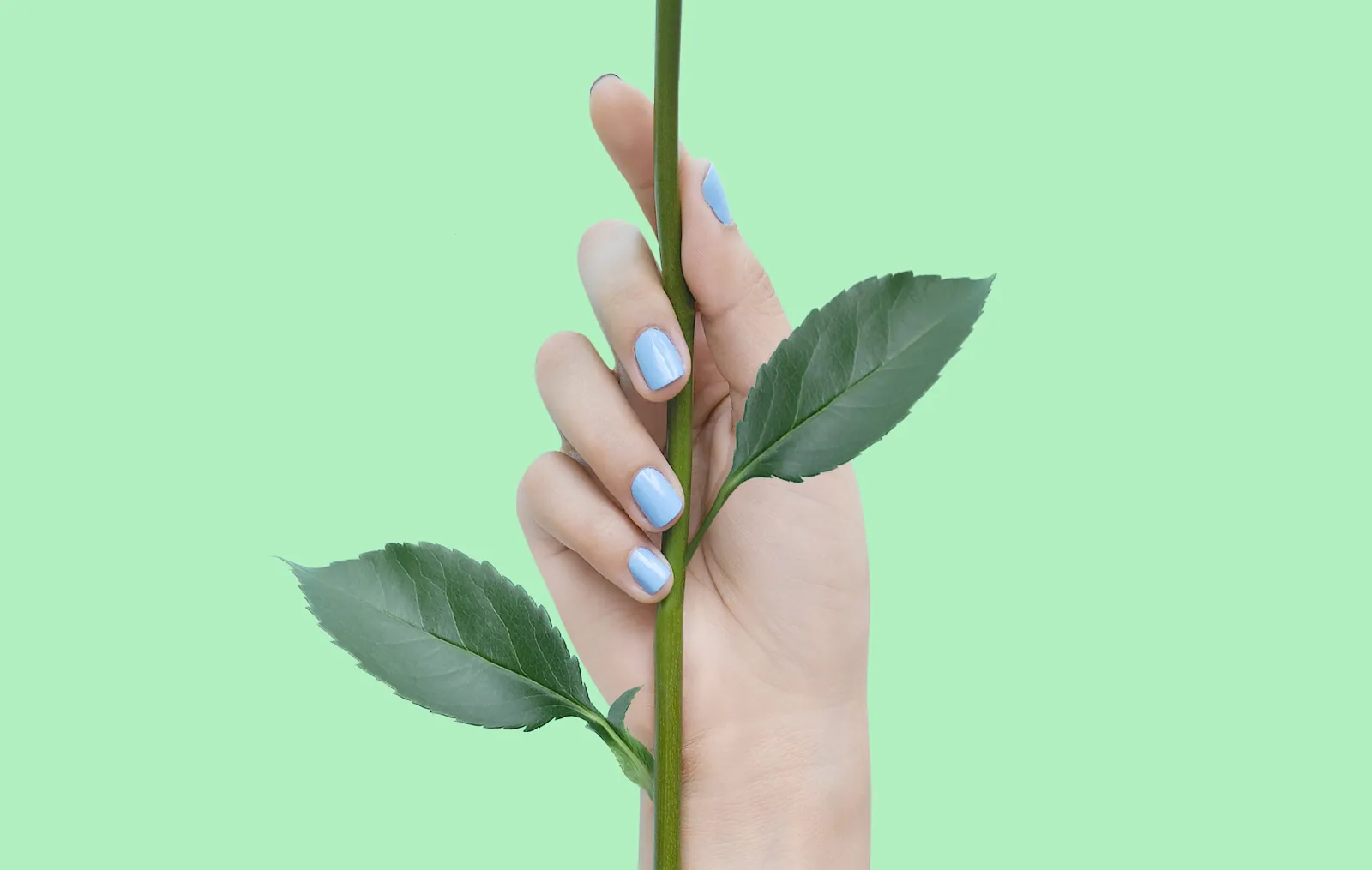 Hand mit Nägeln und grünem Blatt